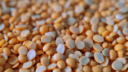 Celebrate World Environment Day by Embracing the Yellow Split Pea